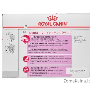 ROYAL CANIN FHN Instinctive - drėgnas paštetas suaugusioms katėms - 12x 85g 1