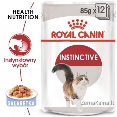 Royal Canin FHN Instinctive in jelly - drėgnas ėdalas suaugusioms katėms - 12x85g 7