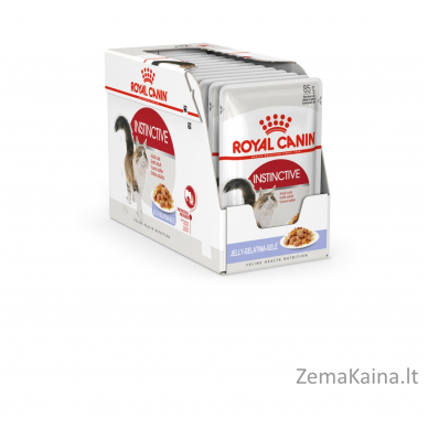 Royal Canin FHN Instinctive in jelly - drėgnas ėdalas suaugusioms katėms - 12x85g 3