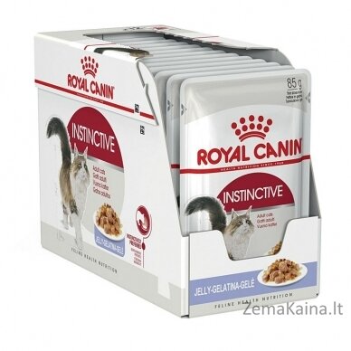 Royal Canin FHN Instinctive in jelly - drėgnas ėdalas suaugusioms katėms - 12x85g 4