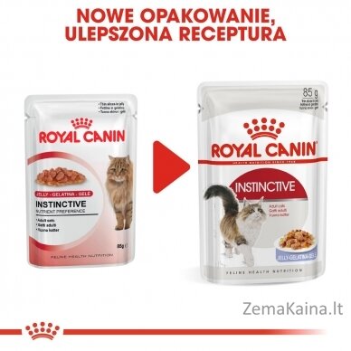 Royal Canin FHN Instinctive in jelly - drėgnas ėdalas suaugusioms katėms - 12x85g 1