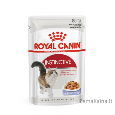 Royal Canin FHN Instinctive in jelly - drėgnas ėdalas suaugusioms katėms - 12x85g 5