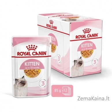 Royal Canin FHN Kitten Instinctive in jelly -  drėgnas ėdalas kačiukams - 12x85g 8