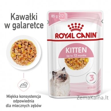 Royal Canin FHN Kitten Instinctive in jelly -  drėgnas ėdalas kačiukams - 12x85g 11