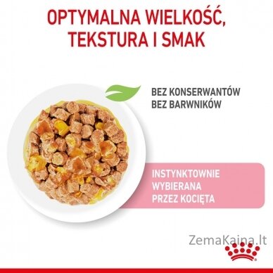 Royal Canin FHN Kitten Instinctive in jelly -  drėgnas ėdalas kačiukams - 12x85g 9