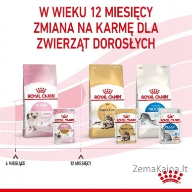 Royal Canin FHN Kitten Instinctive in jelly -  drėgnas ėdalas kačiukams - 12x85g 10