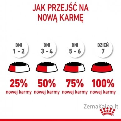 Royal Canin FHN Kitten Instinctive in jelly -  drėgnas ėdalas kačiukams - 12x85g 6