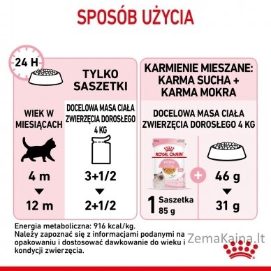 Royal Canin FHN Kitten Instinctive in jelly -  drėgnas ėdalas kačiukams - 12x85g 2