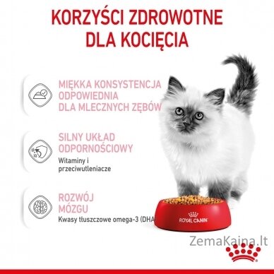 Royal Canin FHN Kitten Instinctive in jelly -  drėgnas ėdalas kačiukams - 12x85g 5