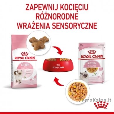 Royal Canin FHN Kitten Instinctive in jelly -  drėgnas ėdalas kačiukams - 12x85g 4