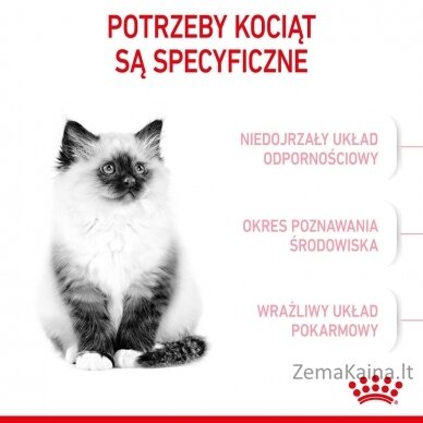 Royal Canin FHN Kitten - sausas kačiukų ėdalas - 4kg 6