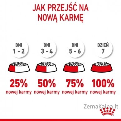 Royal Canin FHN Kitten - sausas kačiukų ėdalas - 4kg 2