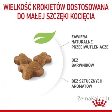 Royal Canin FHN Kitten - sausas kačiukų ėdalas - 4kg 4