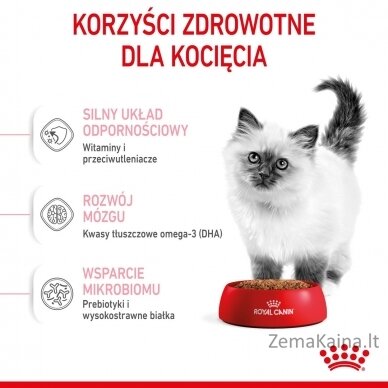 Royal Canin FHN Kitten - sausas kačiukų ėdalas - 4kg 3