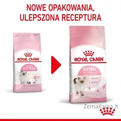 Royal Canin FHN Kitten - sausas kačiukų ėdalas - 4kg 7