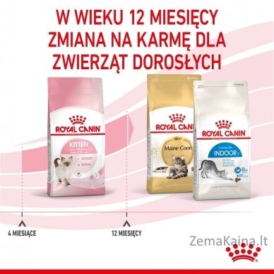 Royal Canin FHN Kitten - sausas kačiukų ėdalas - 4kg 5