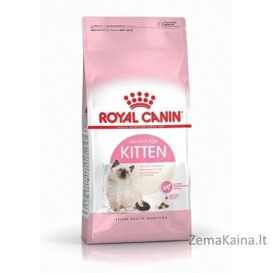 Royal Canin FHN Kitten - sausas kačiukų ėdalas - 4kg