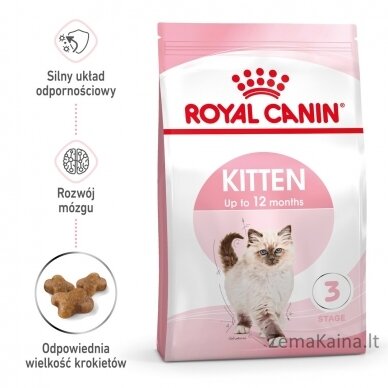 Royal Canin FHN Kitten - sausas kačiukų ėdalas - 4kg 8