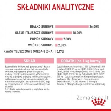 Royal Canin FHN Kitten - sausas kačiukų ėdalas - 4kg 11