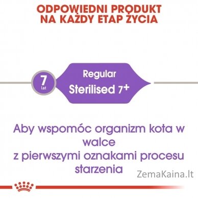 Royal Canin FHN Sterilised 7+ - sausas ėdalas suaugusioms katėms - 10kg 5