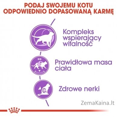 Royal Canin FHN Sterilised 7+ - sausas ėdalas suaugusioms katėms - 10kg 8