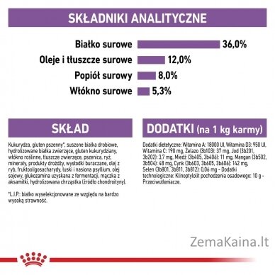 Royal Canin FHN Sterilised 7+ - sausas ėdalas suaugusioms katėms - 10kg 2