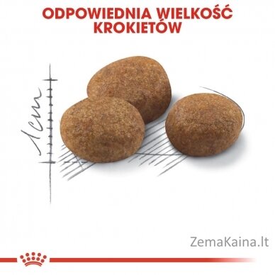 Royal Canin FHN Sterilised 7+ - sausas ėdalas suaugusioms katėms - 10kg 4