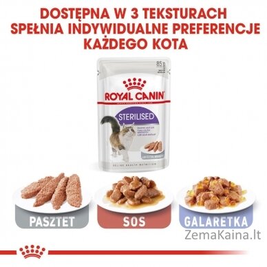 ROYAL CANIN FHN Sterilised padaže - drėgnas ėdalas suaugusioms katėms - 12x85g 3