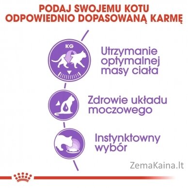 ROYAL CANIN FHN Sterilised padaže - drėgnas ėdalas suaugusioms katėms - 12x85g 2