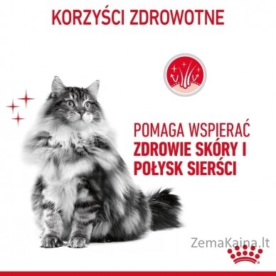 Royal Canin Hair & Skin Care sausas kačių maistas 10 kg Adult 3