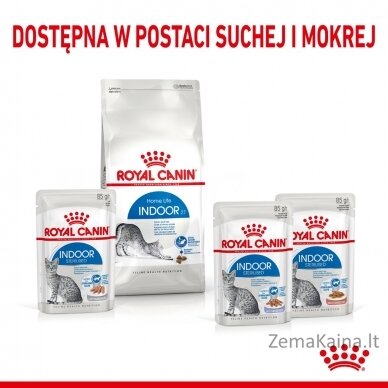 ROYAL CANIN Indoor Sterilized - Šlapias kačių maistas - Gabalėliai padaže 12x85 g 11