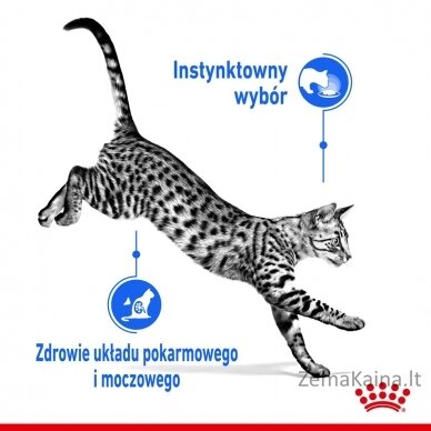 ROYAL CANIN Indoor Sterilized - Šlapias kačių maistas - Gabalėliai padaže 12x85 g 6