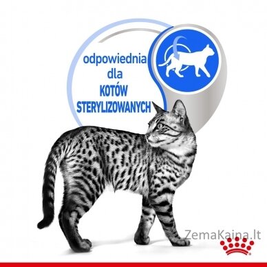 ROYAL CANIN Indoor Sterilized - Šlapias kačių maistas - Gabalėliai padaže 12x85 g 7