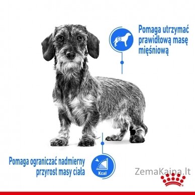 ROYAL CANIN Light Weight Care Šlapias maistas šunims Paštetas 12x85 g 3