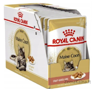 ROYAL CANIN Maine Coon Adult - šlapias kačių maistas - 12 x 85g