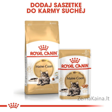 ROYAL CANIN Maine Coon Adult - šlapias kačių maistas - 12 x 85g 2