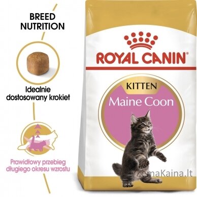 Royal Canin Maine Coon Kitten sausas kačių maistas 2 kg Kačiukas Paukštiena 4