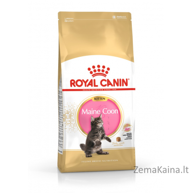 Royal Canin Maine Coon Kitten sausas kačių maistas 2 kg Kačiukas Paukštiena 6