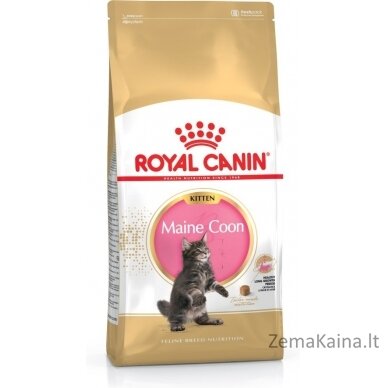 Royal Canin Maine Coon Kitten sausas kačių maistas Kačiukas Paukštiena, Ryžiai 400 g