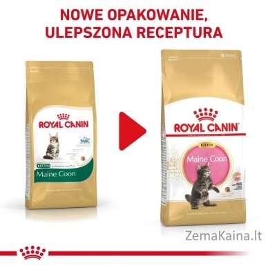 Royal Canin Maine Coon Kitten sausas kačių maistas Kačiukas Paukštiena, Ryžiai 400 g 2