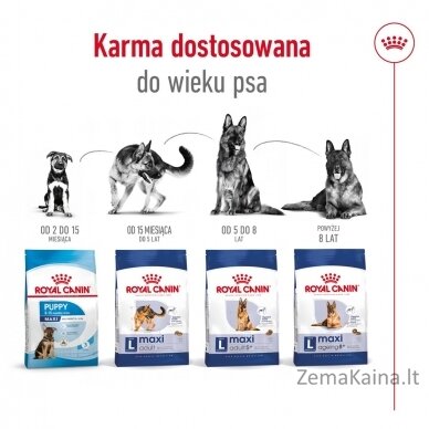 Royal Canin Maxi Adult 5+ Sausas šunų maistas Paukštiena, Ryžiai 15 kg 10