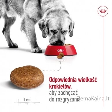 Royal Canin Maxi Adult 5+ Sausas šunų maistas Paukštiena, Ryžiai 15 kg 4