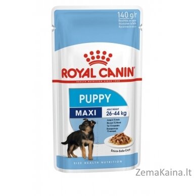 Royal Canin Maxi Puppy 10x140g 1