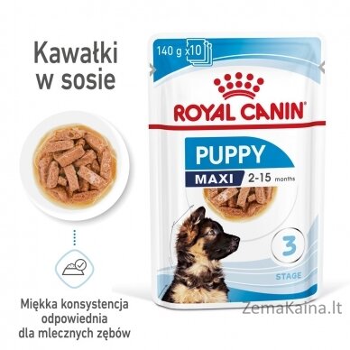 Royal Canin Maxi Puppy 10x140g 5