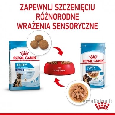 Royal Canin Maxi Puppy 10x140g 1