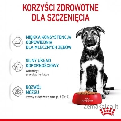 Royal Canin Maxi Puppy 10x140g 4