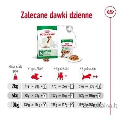 ROYAL CANIN Mini Adult +8 - sausas maistas šunims - 2kg 10