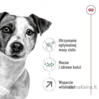 ROYAL CANIN Mini Adult +8 - sausas maistas šunims - 2kg 5