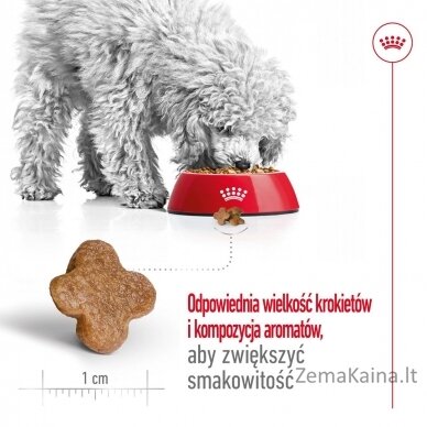 ROYAL CANIN Mini Adult +8 - sausas maistas šunims - 2kg 6