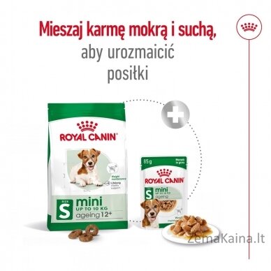 Royal Canin Mini Ageing 12+ Adult Sausas šunų maistas 3,5 kg 4